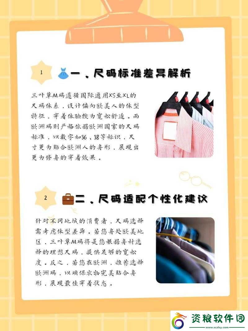 三葉草-M-碼與歐洲碼的區(qū)別對比分析
