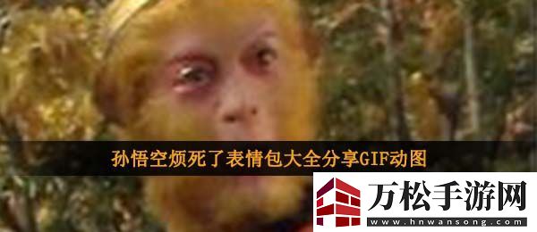 孫悟空煩死了表情包-孫悟空煩死了表情包大全分享GIF動(dòng)圖