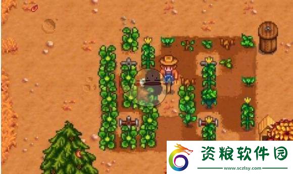 星露谷物語雕刻南瓜任務(wù)攻略