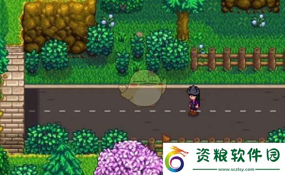 星露谷物語神秘的齊任務(wù)怎么做