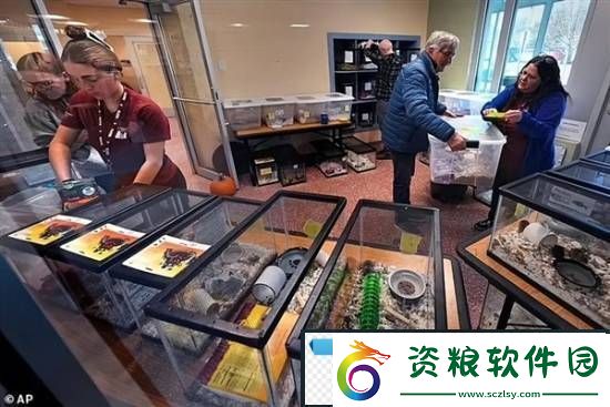游你扯淡