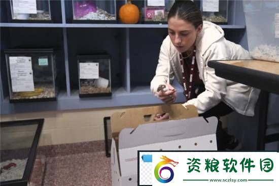游你扯淡
