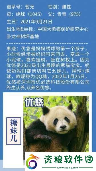 熊貓短片情緣-揭秘動(dòng)植物界奇特繁殖新靈感手游