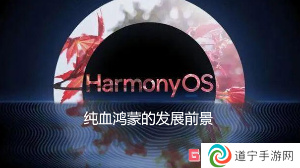 純血鴻蒙的發(fā)展前景如何 純血鴻蒙的發(fā)展道路分析