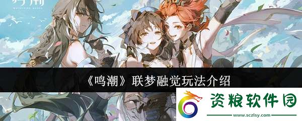 鳴潮聯(lián)夢融覺怎么玩