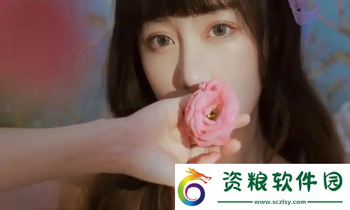 免費網(wǎng)站在線觀看人數(shù)最多的省份有哪些：觀影地圖揭秘-哪些省份最愛在線看免費大片
