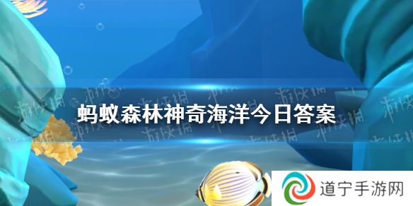 以下哪種螃蟹會用鉗子揮舞?？环Q為啦啦隊(duì)蟹   神奇海洋11月27日答案