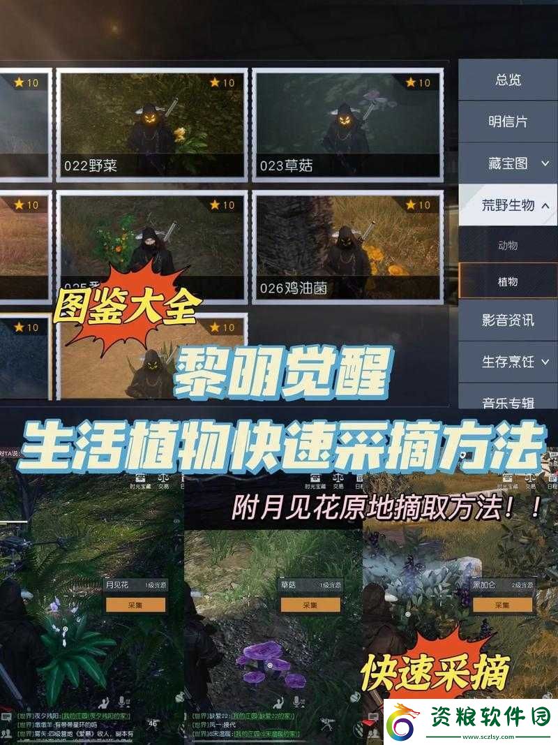 黎明覺醒生存訓(xùn)練怎么過-黎明覺醒生存訓(xùn)練攻略詳情