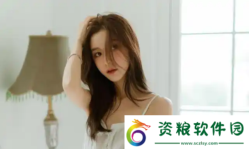 歐美vps與windows性能比較1：靈活性與穩(wěn)定性PK-誰才更勝一籌