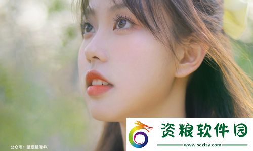 4虎CVT4WD入口讓你無(wú)所不能：從技術(shù)到實(shí)用的全面突破！