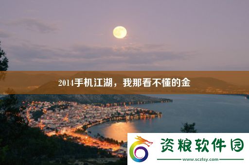 2014手機江湖-我那看不懂的金