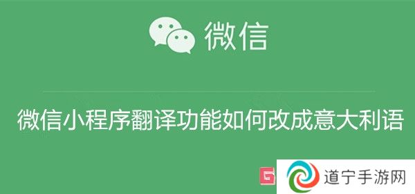 微信小程序翻譯功能如何改成意大利語 微信小程序翻譯功能改成意大利語教程