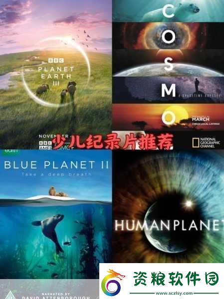 龜波x功：-龜波x功：探索科技與自然的奇妙結(jié)合