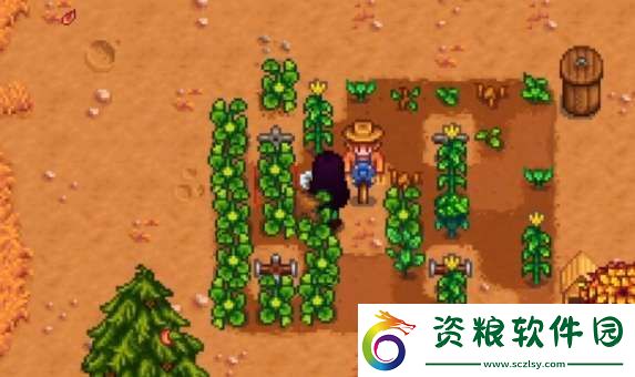星露谷物語雕刻南瓜任務(wù)怎么做