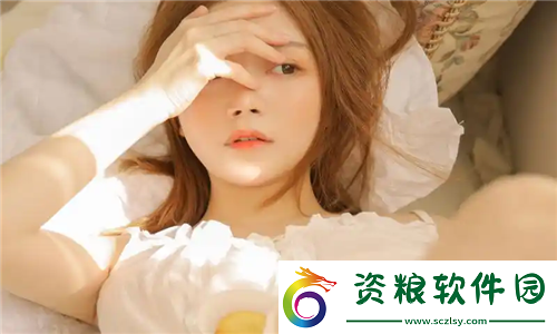 日本免費saas-crm的崛起-用戶：小預(yù)算也能實現(xiàn)大價值！