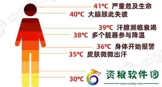 晨曦灼熱-科技新星崛起之謎