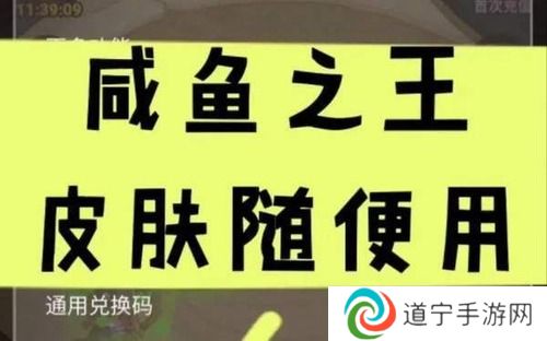 咸魚之王皮膚激活碼有效(2024)-咸魚之王永久皮膚激活碼大全