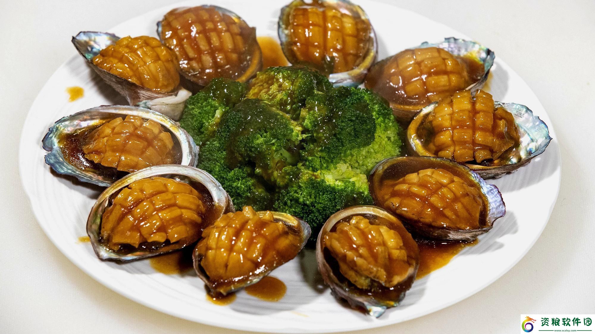 “愛嘗鮮”的味蕾狂歡-鮑魚烹飪科技玩出新花樣！