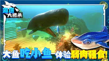 賽博朋克2077攻略心得：如何在未來都市中存活并提升角色能力的實用技巧