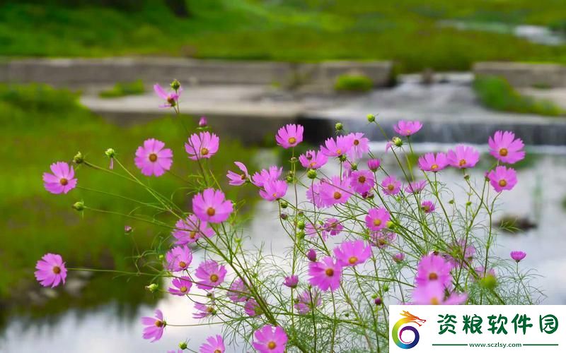 后粉蘇晶體結(jié)構(gòu)iso-網(wǎng)友：探索晶體世界的奧秘