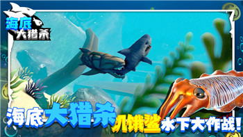 波西亞時(shí)光生日宴會(huì)怎么辦？如何策劃一場(chǎng)難忘的生日慶典