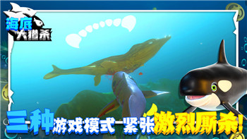 刺客信條奧德賽亞特蘭蒂斯劇情攻略，探索神話世界中的秘密與挑戰(zhàn)