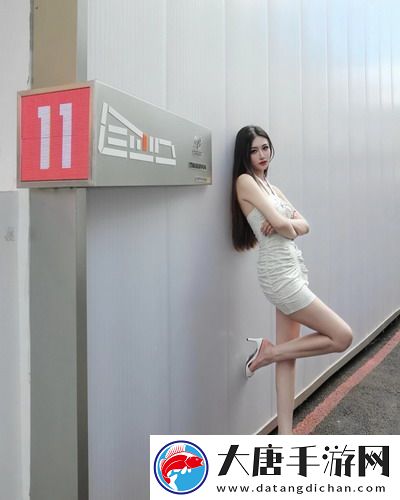 茄子app官方下載：一款讓你輕松探索新世界的神奇工具-快來試試吧！
