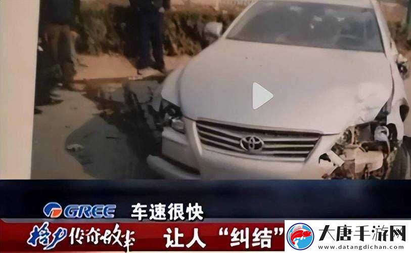 探索血腥工廠之謎：正版免費觀看，揭示不為人知的真相