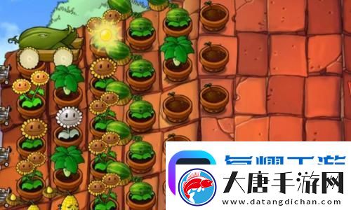 界外狂潮下載：體驗前所未有的游戲世界！